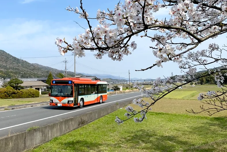 沿線を走る丹海バスと桜