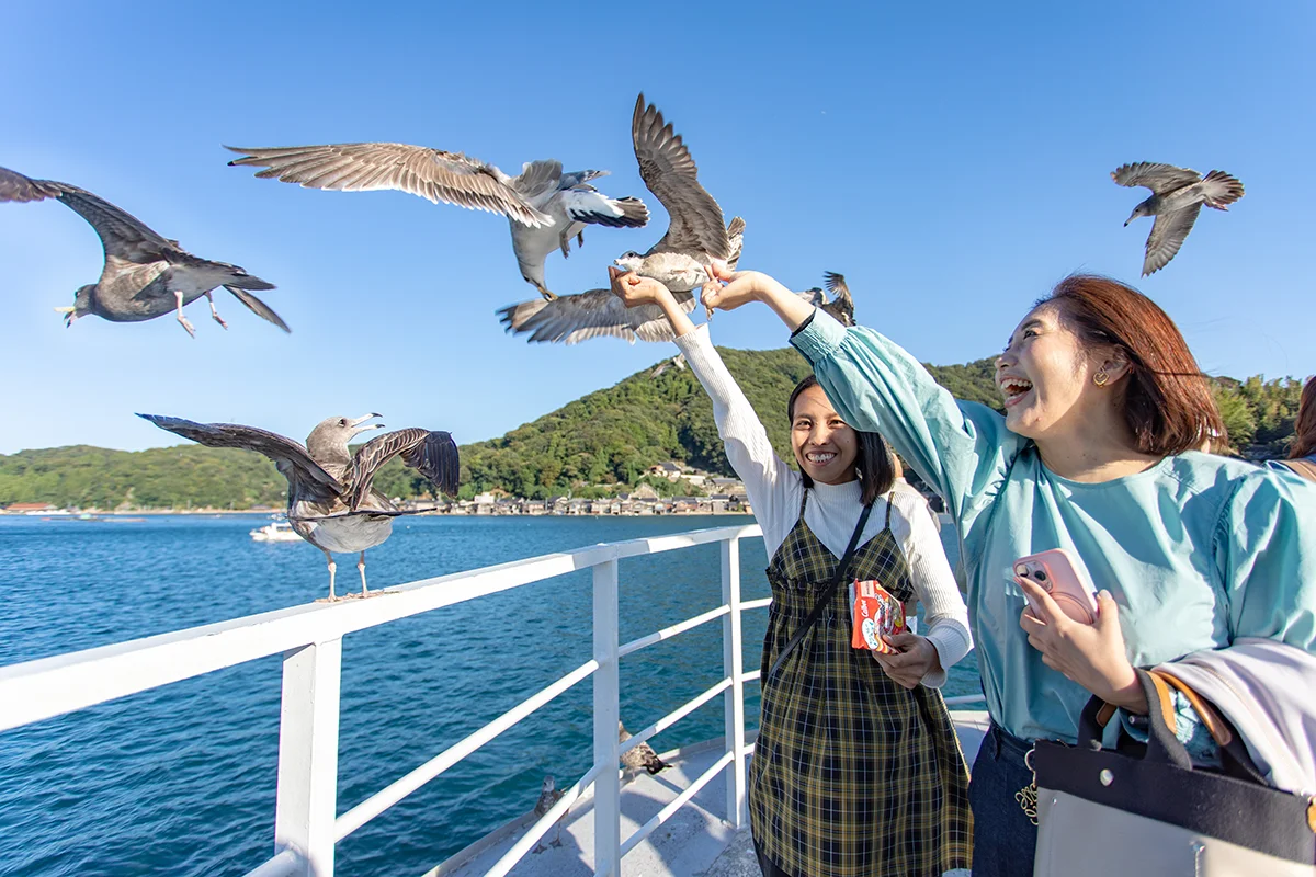 伊根湾めぐり遊覧船　かもめのえさやり