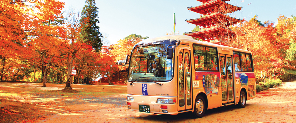 成相寺登山公交车