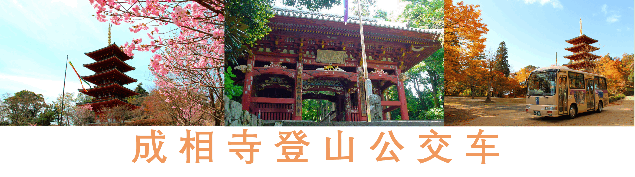 成相寺登山公交车