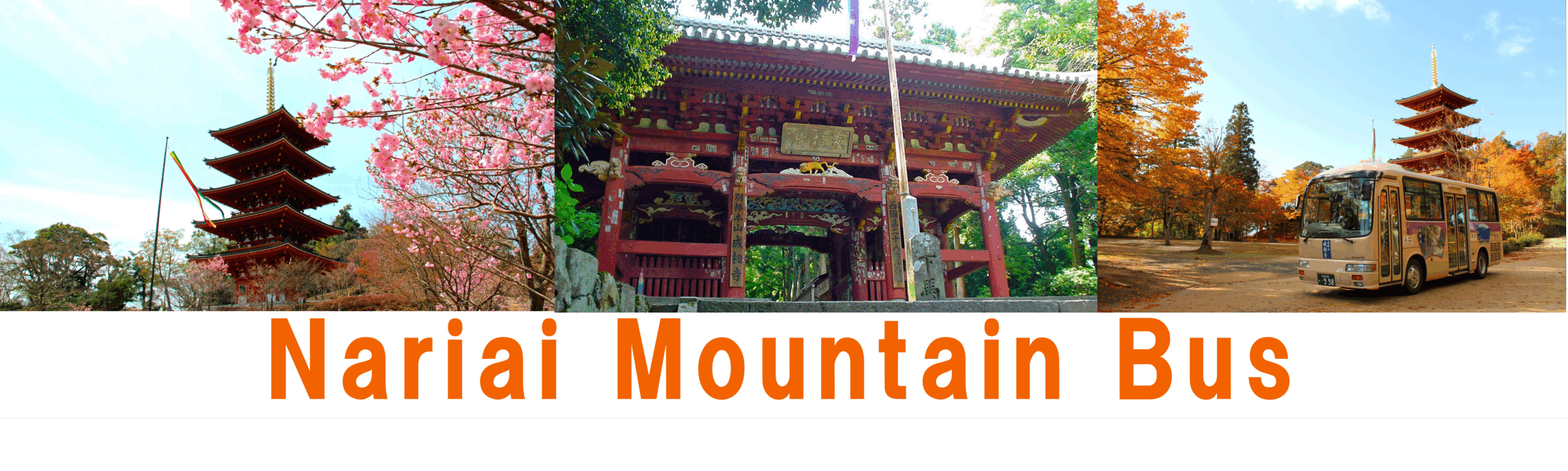 nariai mountain bus