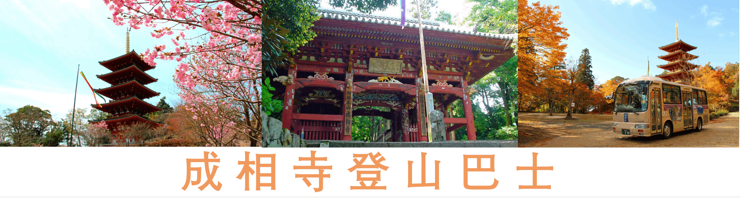 成相寺登山巴士