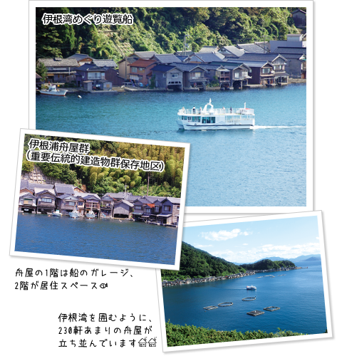 伊根湾めぐり遊覧船
