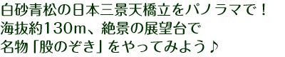 白砂青松の日本三景天橋立をパノラマで!海抜約130m、絶景の展望台で名物「股のぞき」をやってみよう♪