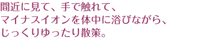 間近に見て、手で触れて、マイナスイオンを体中に浴びながら、じっくりゆったり散策。