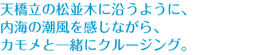 天橋立の松並木に沿うように、内海の潮風を感じながら、カモメと一緒にクルージング。